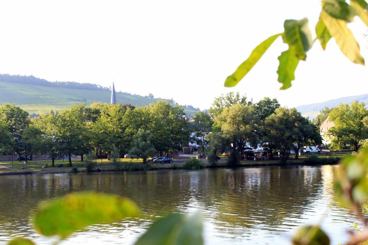 Ferienwohnung Moselblick Bernkastel-Kues Εξωτερικό φωτογραφία